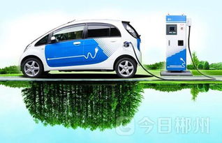 郴州正式啟用新能源汽車專用號牌，助推綠色出行新風(fēng)尚